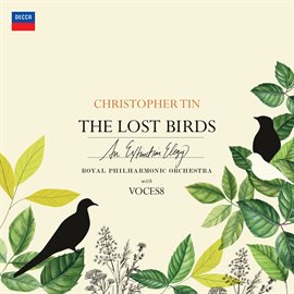 Cover image for The Lost Birds