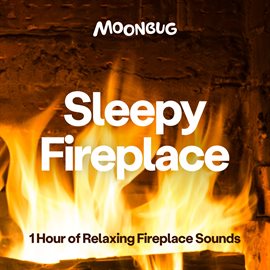 Cover image for Sleepy Fireplace [1 Hour of Relaxing Fireplace Sounds]