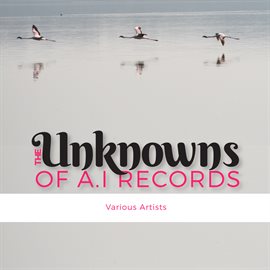 The Unknowns of A.I Records