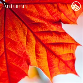 Imagen de portada para Autumn