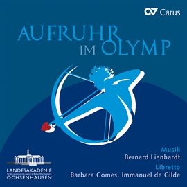 Cover image for Aufruhr im Olymp