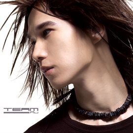 Cover image for Team