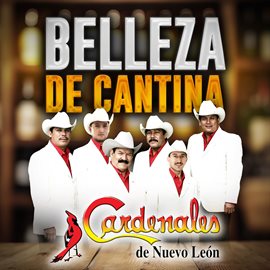 Cover image for Belleza De Cantina