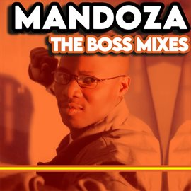 Cover image for The Boss Mixes