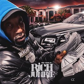 Cover image for Rich Junkie