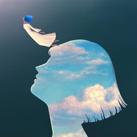 Cover image for Surreal