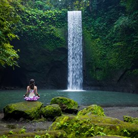 Cover image for Waterfall