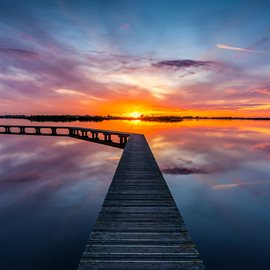 Cover image for Dawn