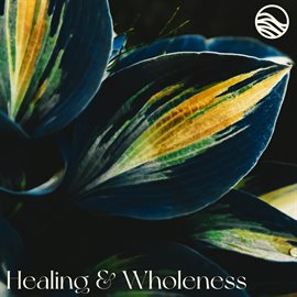Cover image for Healing And Wholeness (Nature)