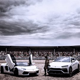 Imagen de portada para EL TORO 2