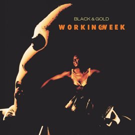 Imagen de portada para Black & Gold