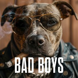 Cover image for Bad Boys