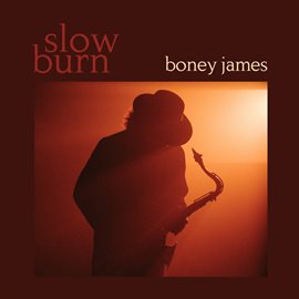 Imagen de portada para Slow Burn