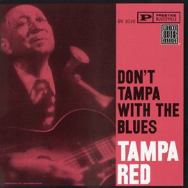 Cover image for Don't Tampa With The Blues