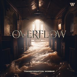 Cover image for Overflow [Live]