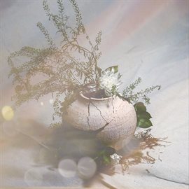 Cover image for All Broken Things