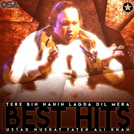 Cover image for Tere Bin Nahin Lagda Dil Mera [Best Hits]