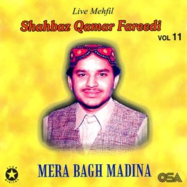Cover image for Mera Bagh Madina, Vol. 11