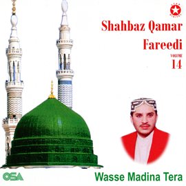 Cover image for Wasse Madina Tera, Vol. 14