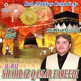 Cover image for Dil Da Milad, Vol. 24