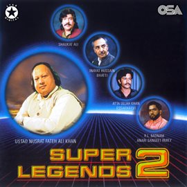 Cover image for Super Legends 2