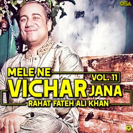 Imagen de portada para Mele Ne Vichar Jana, Vol. 11