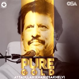 Imagen de portada para Pure Gold