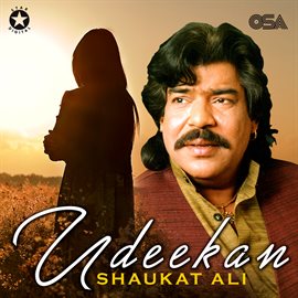 Cover image for Udeekan
