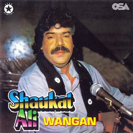 Cover image for Wangan