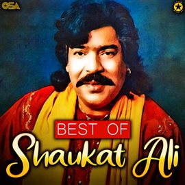 Cover image for Best Of Shaukat Ali
