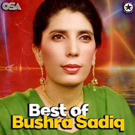 Imagen de portada para Best Of Bushra Sadiq