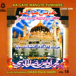Cover image for Aa Gaye Mangte Tumhare, Vol. 18