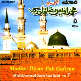 Cover image for Madine Diyan Pak Galiyan, Vol. 7