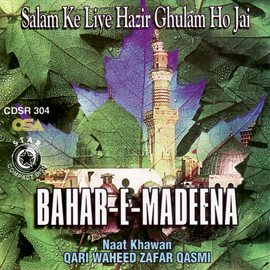 Cover image for Bahar-e-madina
