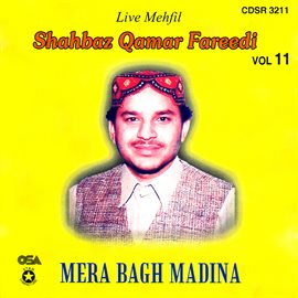 Cover image for Mera Bagh Madina, Vol. 11