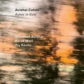 Imagen de portada para Ashes To Gold