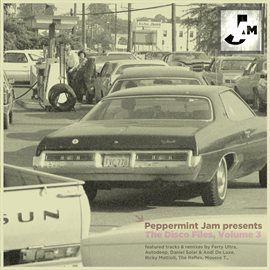 Cover image for Peppermint Jam Pres. The Disco Files, Vol.3