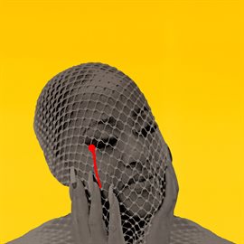 Cover image for Please Don't Cry