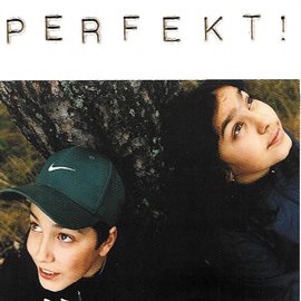 Cover image for Perfekt!