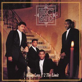 Cover image for Love U 2 The Limit