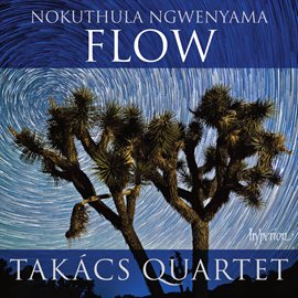 Cover image for Ngwenyama: Flow