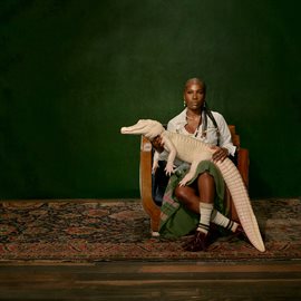 Cover image for Alligator Bites Never Heal