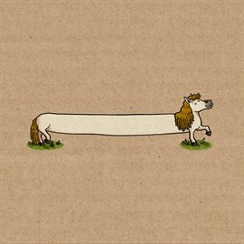 Imagen de portada para The Longest Pony