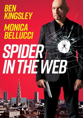 Cover image for Spider in the Web