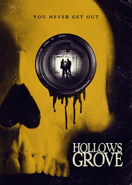 Cover image for Hollows Grove