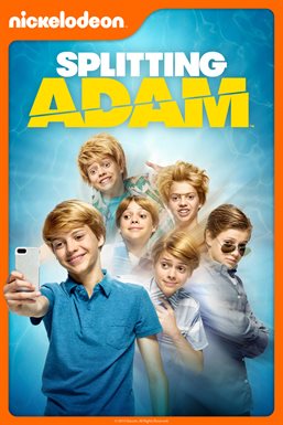 Cover image for Splitting Adam