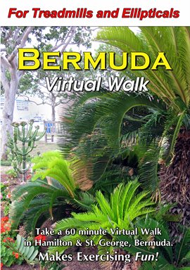 Cover image for Bermuda Virtual Walk