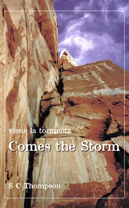 Imagen de portada para Comes the Storm