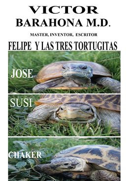 Imagen de portada para Felipe y las tres tortugitas