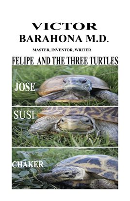 Cover image for Felipe and the Three Turtles